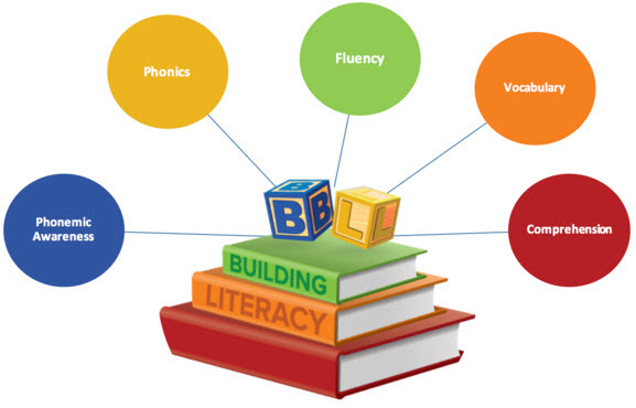 the-reading-fundamentals-building-literacy